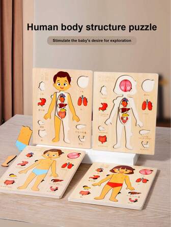 1PC Wooden Children's Educational Science Enlightenment, 3-6 Years Old Boys And Girls, Multi-Layer Human Body Jigsaw Puzzle, Cognitive Early Education, Body Structure, Internal Organs, Bones