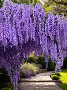 3/6/12 piezas Racimos de Flores Colgantes de Glicinia Púrpura a Granel, Vid Artificial de Glicinia Colgante, Guirnalda de Flores de Seda para Fiesta, Boda, Jardín, Decoración del Hogar, Día de San Valentín, Regalo, Cumpleaños, Graduación