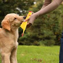 Screaming Chicken, Yellow Rubber Duck, Squeaky Rubber Chicken Prank Novelty Toys, Suitable For Dogs And Pets - Multicolor - View 11