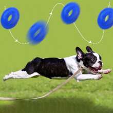1 Pc Squeaky Interactive Dog Chew Toy, TPR Material For Teeth Cleaning, Multi-Color For Indoor And Outdoor Use
