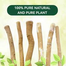 Ultra-Thin Natural Branch Miswak Toothbrush Ergonomic Toothbrush Stick Organic Wooden Slim & Minimalist Travel-Friendly Toothbrush Gentle Bristles Gentle Bristles Gift