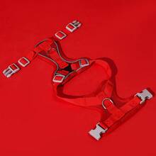 1 件宠物胸背带，适用于猫和狗