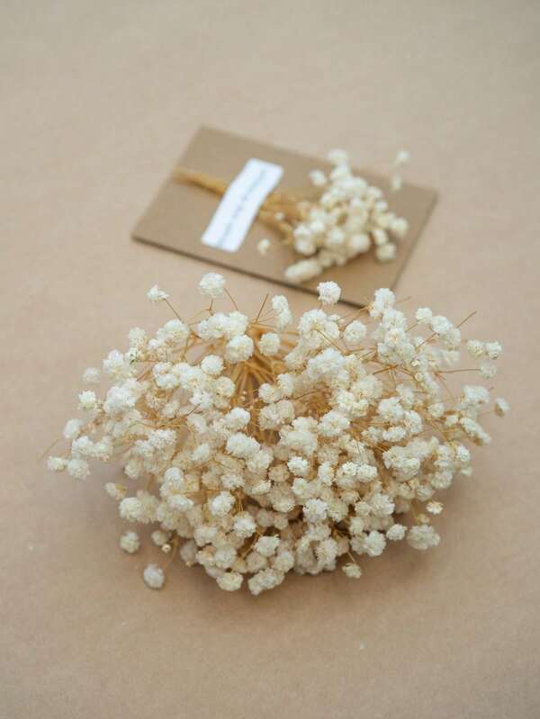 25/50/100/300 件迷你满天星花和其他干花 - 用于树脂模具艺术工艺品，象牙白花束，可用作发饰、婚礼花环、桌花瓶、家居装饰