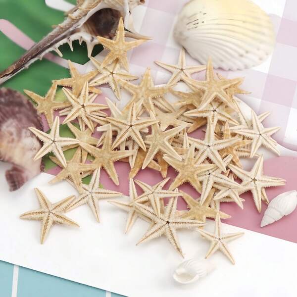 10/50/100/200 Pcs Tiny Natural Starfish Micro-Landscape Beach Wedding Nautical Ornament Shells Resin Craft DIY Vase Filler Small Star Sea Shell Beach For Craft 0.4"-1",Suitable For DIY Jewelry Making, Fish Tank/Bathroom Home Decor, Party Candle Wedding Decorations, Handmade Craft Best Gifts Birthday Graduation