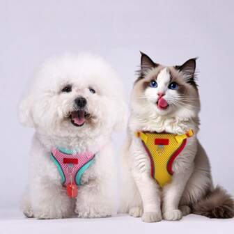 Dog Harness Leash, Small Dog Puppy Chest Strap Leads, Pet Supplies For Teacup, Poodle, Bichon Frise