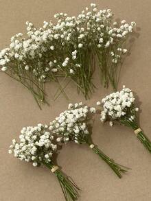 25/50/100/300支迷你满天星及其他干花 - 适用于树脂模具工艺品，象牙白花束，可用于发饰、婚礼花环、桌面花瓶、家居装饰 - 白綠色 - 查看 2