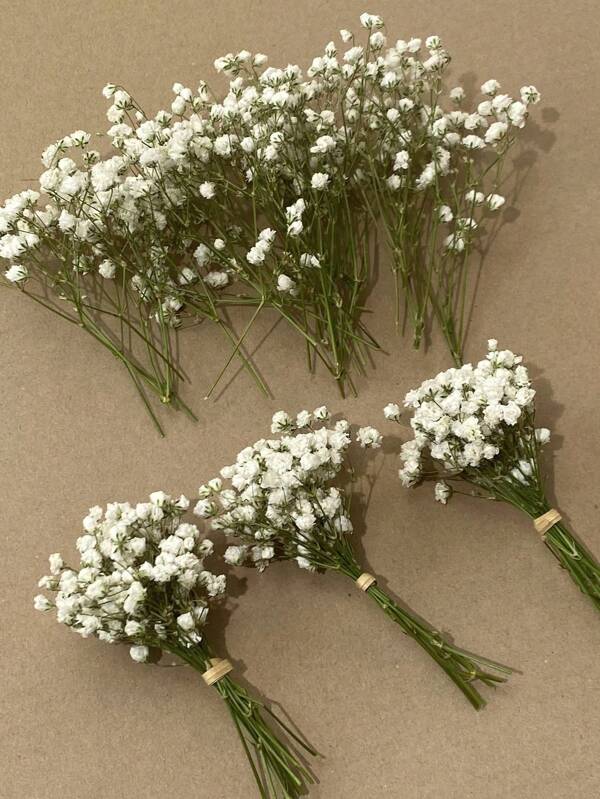 25/50/100/300 pièces Mini Fleurs de Bébé et autres fleurs séchées - Pour l'artisanat de moulage en résine, bouquet de fleurs blanches ivoires pour accessoire cheveux, couronne de mariage, vase de table, décoration de maison