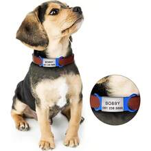 21 Pcs Blank Slide On Silent Pet ID Tags Blank S M L Quiet ChewProof Pet Collar Tag Stainless Steel Silicone Dog Cat Pets Name Tag L Black - màu đen - Xem 7