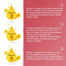 B BEWORTHS Vegan Omega 3-6-9 Capsules - 500mg Omega-3, 180mg Omega-6, 680mg Omega-9 - Pure Plant-Based Fatty Acids For Heart, Brain, Immune & Skin Health - Non-GMO - 3瓶 - 查看 7