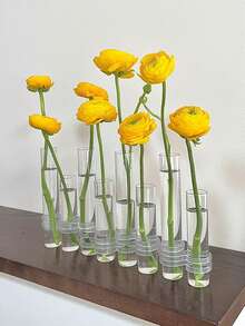 1 Set 6/8pcs Transparent Glass Vase,Hydroponic Vases For Fresh Flowers And Plants,Foldable Vase Design,Home Decor,Room Decor, Bedroom Decor,Table Decor,Living Room Decor, Garden Decor,Wedding Decoration,Holiday Gifts Flower Vase