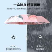 Umbrellas