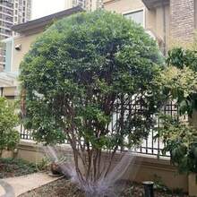 1 件花园防鸟网，用于果树、果园、阳台、樱桃树、葡萄树、水稻作物、池塘屏障的防护网罩，户外威慑 - 彩色 - 查看 5