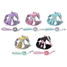 Fruit Harness And Leash Set For Small, Medium, And Large Dogs - Violet Purple - View 3