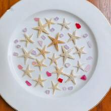 10/50/100/200 قطعة نجوم البحر الصغيرة الطبيعية، زخرفة بحرية لحفلات الزفاف والديكور، قذائف صغيرة لملء الأواني والمشاريع اليدوية، مناسبة لصنع المجوهرات وديكور حوض السمك والحمام والشموع وديكورات الحفلات والهدايا المميزة لأعياد الميلاد والتخرج، بحجم 0.4 إلى 1 بوصة - متعدد الألوان - مشاهدة 3