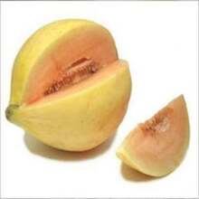 245 Pieces Recommended Cransehoe Melon (Cantaloupe/Winter Melon/Cransehoe) Fruit Seeds