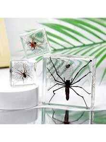 1 件大型盒装昆虫标本套装，包括真正的 8 条腿巨型蜘蛛、蝗虫、竹节虫、螳螂、甲虫、螃蟹、千足虫和巨型蝎子树脂水晶工艺品，50 多个永久保存的巨型蜈蚣有毒动物模型