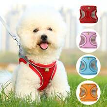 小型犬背带，透气网眼步入式背心背带，反光软垫背带，适合小型犬散步 - 彩色 - 查看 7