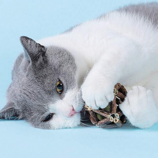 1 pieza Nuevo juguete de bola y mordedor de madera para gatos, juguete para masticar y jugar solo para gatitos