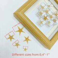 10/50/100/200 قطعة نجوم البحر الصغيرة الطبيعية، زخرفة بحرية لحفلات الزفاف والديكور، قذائف صغيرة لملء الأواني والمشاريع اليدوية، مناسبة لصنع المجوهرات وديكور حوض السمك والحمام والشموع وديكورات الحفلات والهدايا المميزة لأعياد الميلاد والتخرج، بحجم 0.4 إلى 1 بوصة - متعدد الألوان - مشاهدة 8