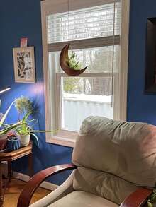 1pc Boho Moon Shaped Hanging Planter - Metal Wall Mounted Succulent Flower Pot, With Hanging Rope For Indoor Outdoor Decor, Rustic Gold Black Finish, No Electricity, Metallic Luster, Moon Shape, Wall Decor Hanging Basket For Succulents, Cactus, Plants, Outdoor Garden Decor, Patio, Hanging Gardening Supplies, Small Plant Decor, Gift For Plant Lovers, Halloween, Christmas, Thanksgiving Decoration