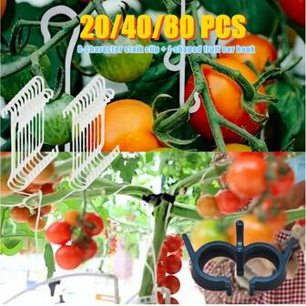20/40/80件番茄蔬菜防断加固套装：白色塑料8字梗夹+J型果耳钩（稳固组合，使用方便，节省空间）