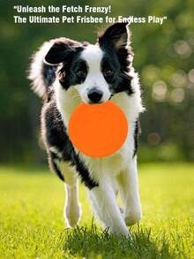 2 件狗玩具，狗飞盘加咬绳，软橡胶互动轻型飞盘狗玩具，适合小型大型犬 - 用牙齿漂浮在水中，7 英寸。