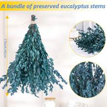 1. Eukalyptusblätter, natürliche getrocknete Blumenstiele, 100/200g echte Eukalyptuszweige für den Duschgebrauch, 2. 43cm konservierte frische Eukalyptusblätter, getrocknete Eukalyptuszweige, für Dekoration, Hochzeit, Heimdekoration, Rattanmaterial, Fotografie-Requisiten