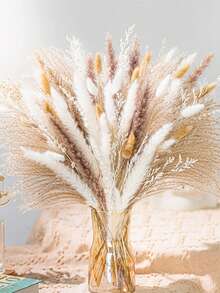 50/100 支蒲苇草茎，适合用作花瓶填充物 - 波西米亚婚礼花瓶装饰、圣诞节、冬季和春季装饰、情人节餐桌摆饰
