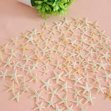 Ok. 100 szt./opakowanie muszli morskich w różnych kolorach – do samodzielnego wyrobu biżuterii, dekoracji akwarium, łazienki, świec na imprezę, dekoracji ślubnych, projektów rękodzielniczych