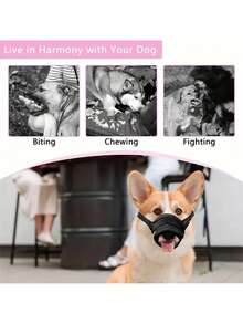 1 件透气网状狗嘴套，快速固定，带可调节带子，防咬防吠宠物嘴套，可调节宠物狗软面罩 - 黑色 - 查看 2