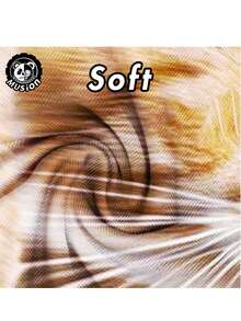 Musion 1/2/3pcs 3D Cat Ski Balaclava Sheisty Face Mask With Ears - Multicolor - View 8