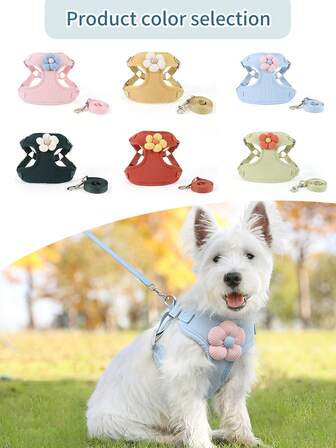 Peitoral com Guia para Animais de Estimação, Peitoral e Guia para Cachorros Pequenos Tipo Teddy Bear, Poodle, Bichon Frisé, Filhotes, para Passeio e Treinamento