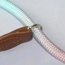 A Colorful Pet Dog Leash For Indoor And Outdoor Use - Fenlan - View 4