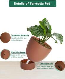 Dark Terracotta Self Watering Plant Pot - 2 PCS 6 Inch & 8 Inch Terra Cotta Plant Pot With Drainage Hole And Saucer, Small & Large Clay Flower Pot With Tray, Plant Pot For Indoor Outdoor - 彩色 - 查看 5