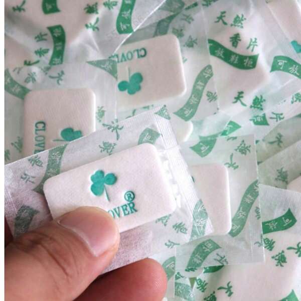 10/20/50/100 pièces de sachets aromatiques pour boîte à chaussures, tiroir, armoire. Sac d'aromathérapie pour désodorisation (100 pièces, goût aléatoire)