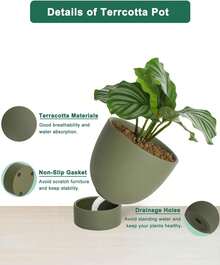 Green Terracotta Self Watering Plant Pot - 2 PCS 6 Inch & 8 Inch Terra Cotta Plant Pot With Drainage Hole And Saucer, Small & Large Clay Flower Pot With Tray, Plant Pot For Indoor Outdoor - 薄荷綠 - 查看 5