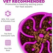 Outward Hound Fun Feeder Slo Bowl, Slow Feeder Dog Bowl, Medium/Mini, Turquoise - 紫色 - 查看 3