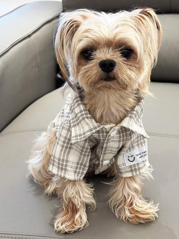 Spring Summer Pet Dog & Cat Plaid Shirt Clothes, Fashionable Cute Outfit For Medium & Small Dogs