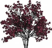 6pcs Burgundy Silk Babys Breath Gypsophila Artificial Fall Flowers 18.7" For Home Kitchen Decor Indoor Outdoor Decorations New Year Spring Mother's Day - 酒紅色 - 查看 1