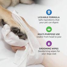SaniPaw Odor Eliminating Dog Paw Wipes 120 Wipes Cleansing Dog Grooming Wipes Simple Safe Lickable Ingredients Paw Cleaner For Dogs Pet Wipes - 60Count(Packof2) - View 4