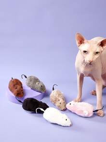 PETSIN 猫玩具发条老鼠造型玩具老鼠猫玩具上链赛车老鼠小猫毛绒玩具宠物猫户外小猫玩耍 - 彩色 - 查看 2