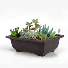 Maceta de plástico imitación Zisha cuadrada y rectangular, maceta para bonsái, contenedor pequeño para plantas en maceta, maceta para plantas suculentas