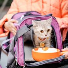 Transportín para mascotas, color rosa, transportín blando para gatos y perros, bolsa para viajar - Rosa Fucsia - Ver 8
