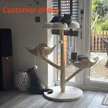 BingoPaw Climbing Tree Tower Cat Scratching Post For Indoor Cats Kitten Play Tower Activity Centre Climbing Stand With Dangling Ball - Wood+White - View 3