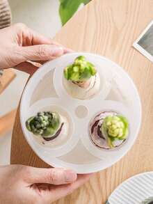 3-Hole & 5-Hole Vase For Hydroponic Planter, Suitable For Tulip, Hyacinth, And Daffodil Bulbs - Multicolor - View 5