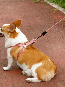 1 对可调节狗背带（带牵引绳）