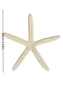 3/6件贝壳大五指海星标本地中海家居地台墙贴装饰系列配件桌面摆件海洋装饰墙面系列家居饰品树脂海星地中海风格鱼缸装饰摆件 - 白色 - 查看 4