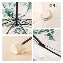 Outdoor Umbrellas