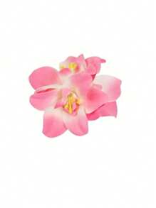 4 peças/1 peça Grampos de Cabelo com Flor de Hibisco Tropical, Flores Artificiais Havaianas Acessórios de Cabelo Feminino, Adequado para Praia, Festa, Estilo Boho, Moda, Elegante, Minimalista, Cor Sólida, Adequado para Uso Diário, Casual, Festa, Transporte, Férias, Rabo de Cavalo, Coque, Lavar o Rosto, Maquiagem, Decoração de Roupa, Acessórios de Verão, Grampos de Cabelo, Presilhas de Cabelo, Grampos de Cabelo, Material Escolar, Faculdade