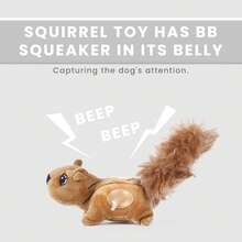 Hide And Seek Replacement Squirrel Dog Toy -3 Pack
